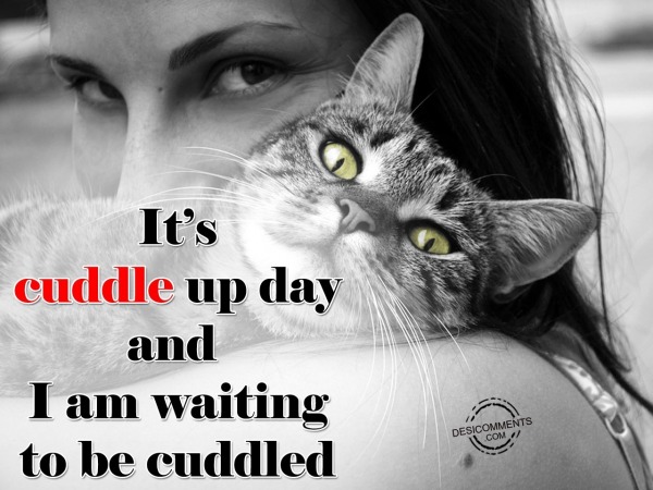 It's Cuddle up Day and I'm waiting to be cuddled