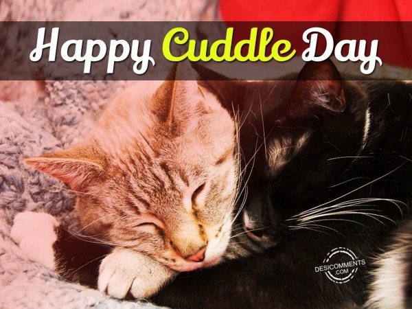 Happy Cuddle up Day
