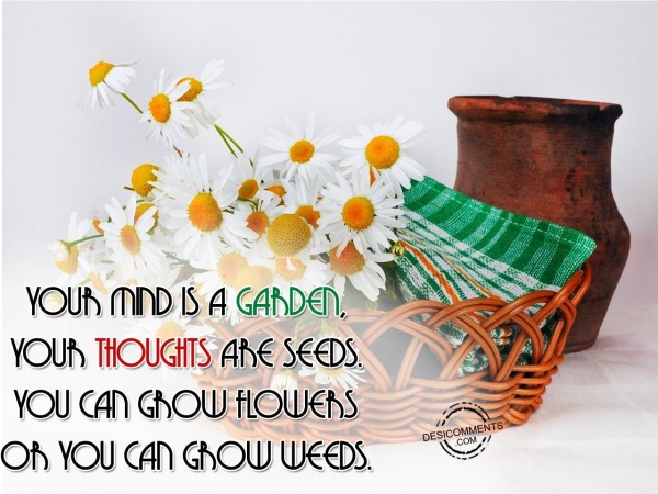 You mind is a garden – Flower Basket Day