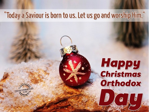 Today is Saviour is born to us. Let us go and worship him.