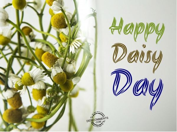 Wishing you a very  Happy Daisy Day