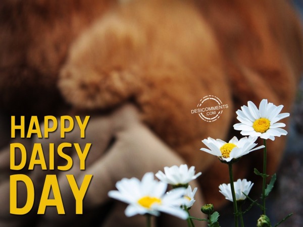 Happy Daisy Day