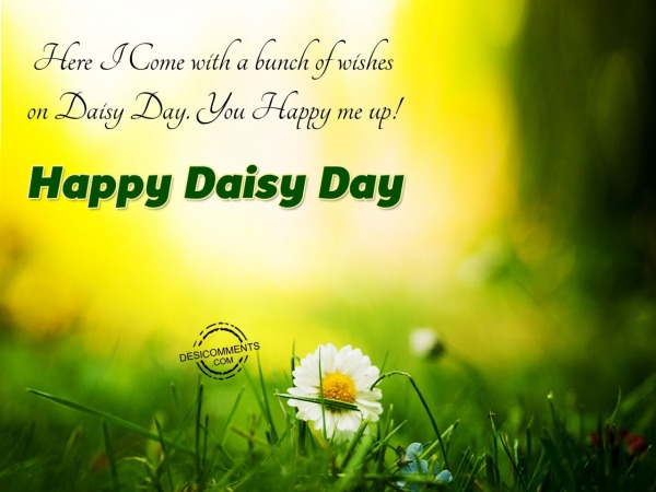 Here I Come with a bunch of wishes on Daisy Day