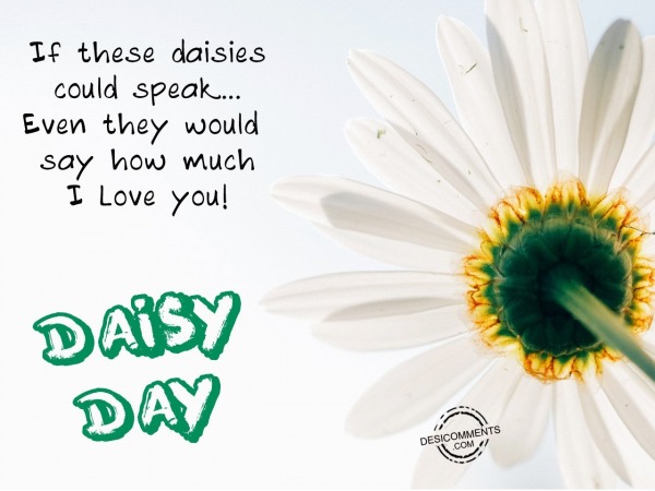 If these daisies could speak... Even they would say how much I Love you!