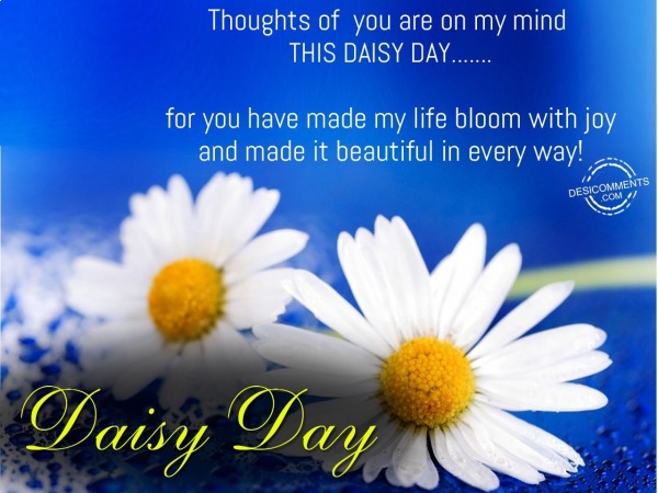 Thoughts of you are on my mind this Daisy Day…