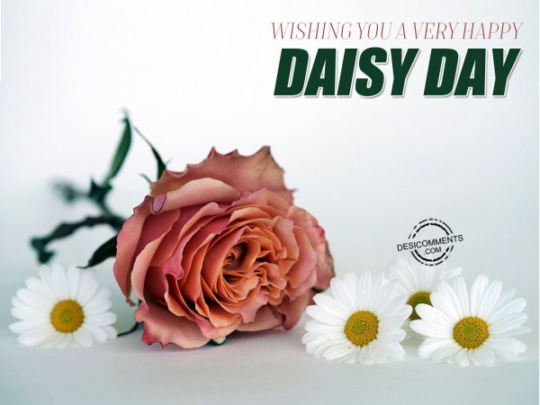 Wishing you a very Happy Daisy Day