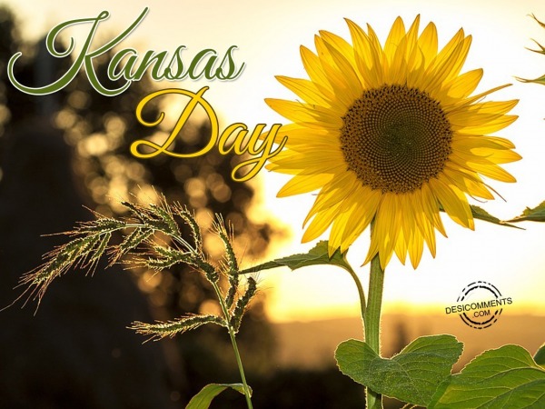 Wishing you a very Happy Kansas Day