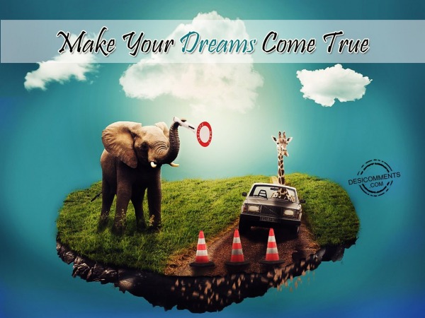 Make Your Dreams Come True