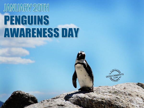 January 20th Penguins Awareness Day