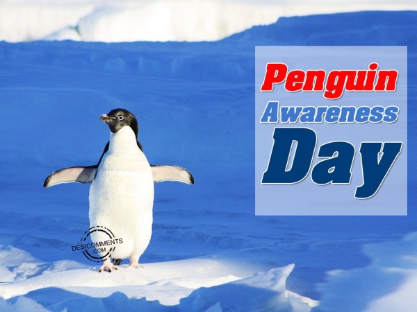 Penguins Awareness Day