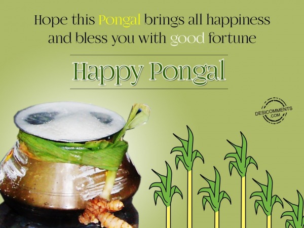 Hope this pongal brings all happiness