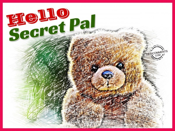 Hello Secret Pal 