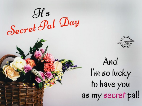 I’m So lucky to have you as my secret pal!