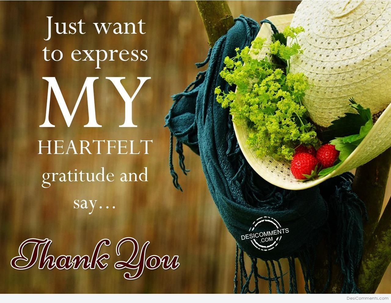 Just want to express my heartfelt gratitude and say… - DesiComments.com