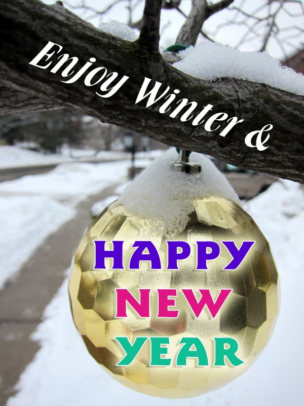 Enjoy Winter And Happy New Year