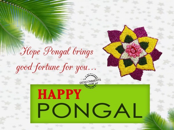 Hope pongal brings good fortune for you