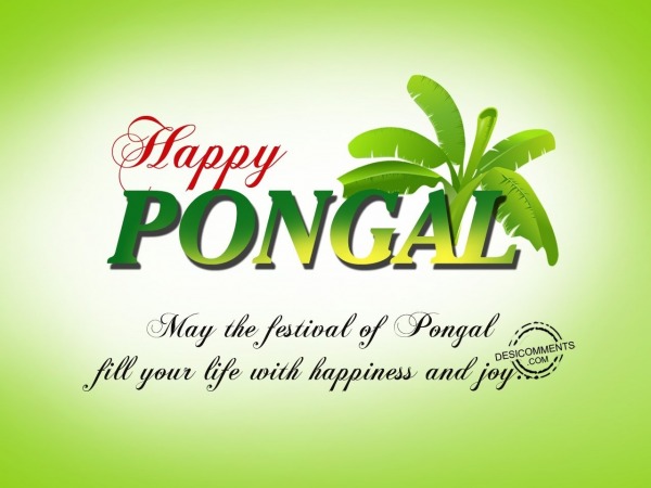 May the festival of pongal