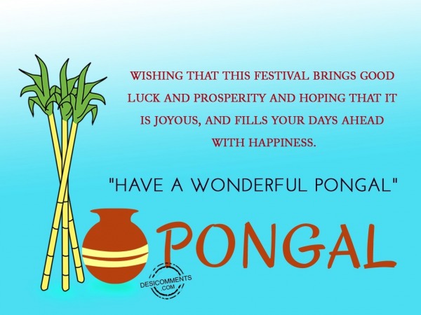 Wishing that this festival brings joy - Happy Pongal