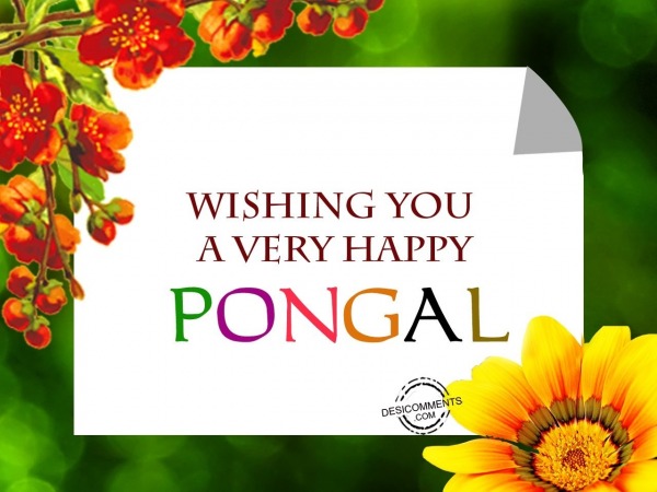 Wishing you a Happy Pongal