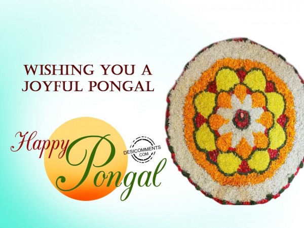 Wishing you a joyful Pongal