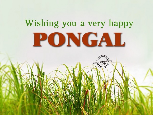 Wishing you a very Happy Pongal