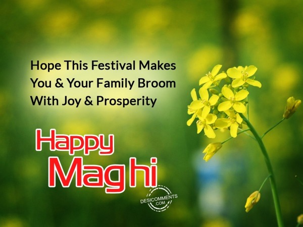 Hope this festival makes you happy - Happy Maghi