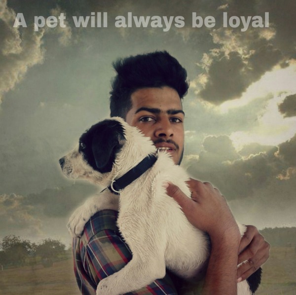 A Pet Will Always Be Loyal