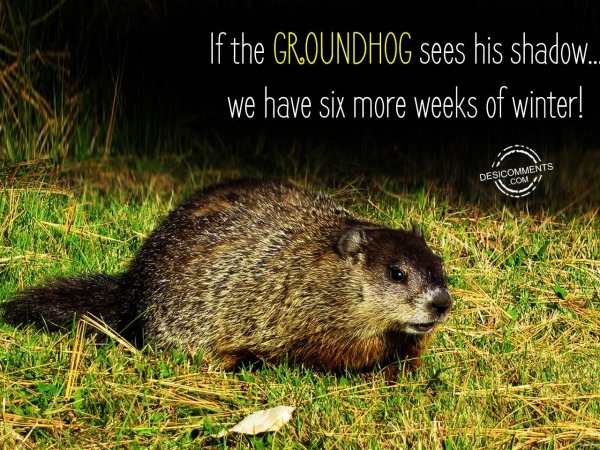 If The Groundhog Sees His Shadow…
