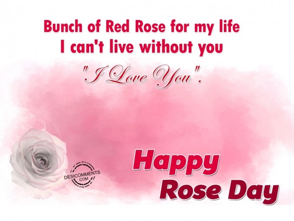 Bunch Of Red Rose For My Life – Happy Rose Day