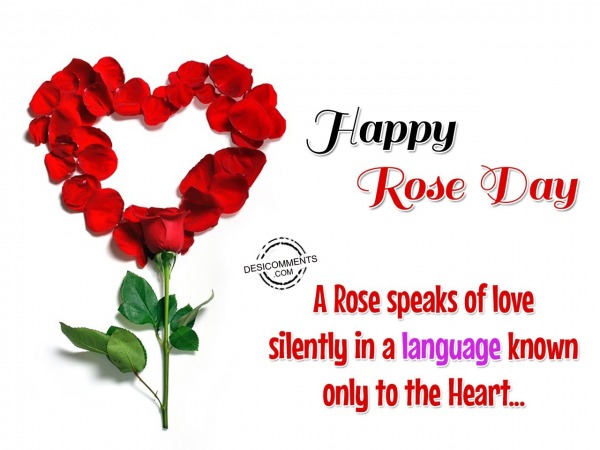 Happy Rose Day