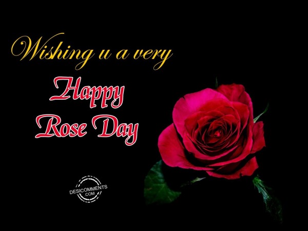 Wishing You A Very Happy Rose Day