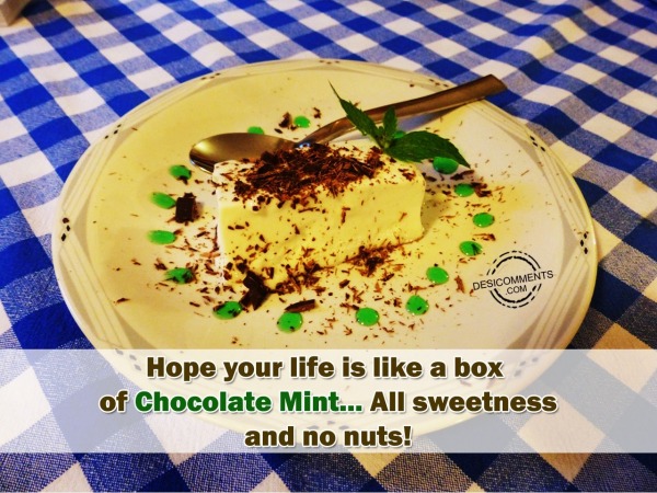 Hope Your Life Is Like A box Of Chocolate Mint… All Sweetness And No Nuts