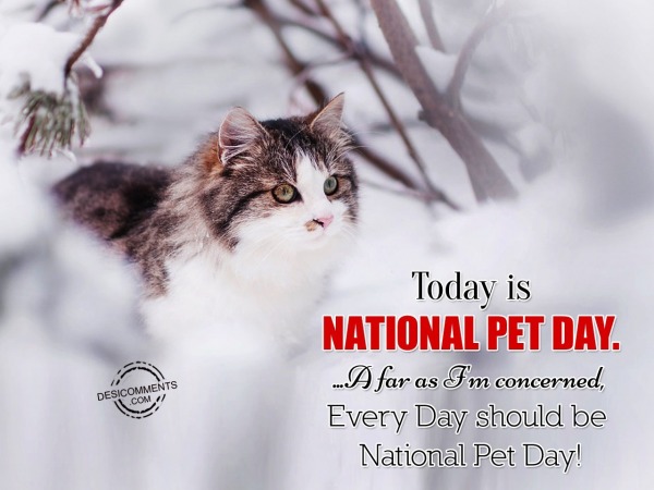 Every Day Should Be National Pet Day