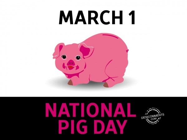 Happy National Pig Day