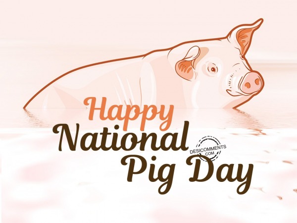 Happy Pig Day Wishes