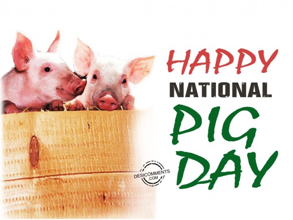 National Pig Day