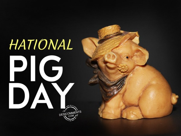 Very Happy pig day