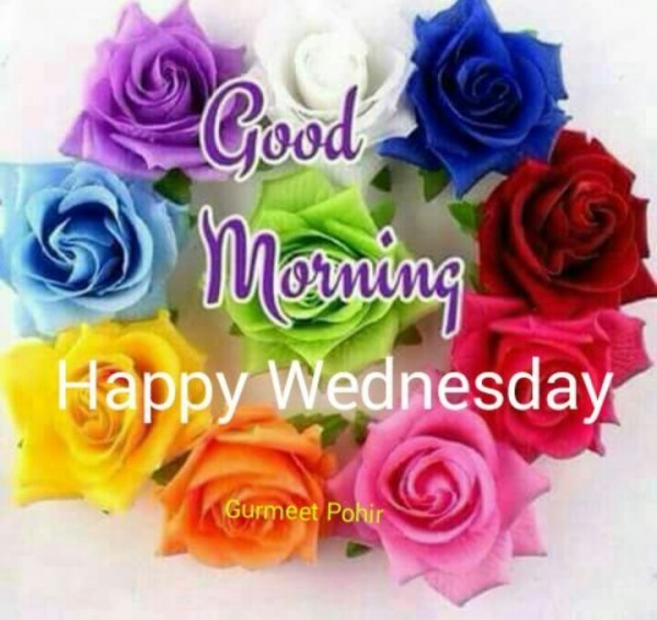 Happy Wednesday - Good Morning 