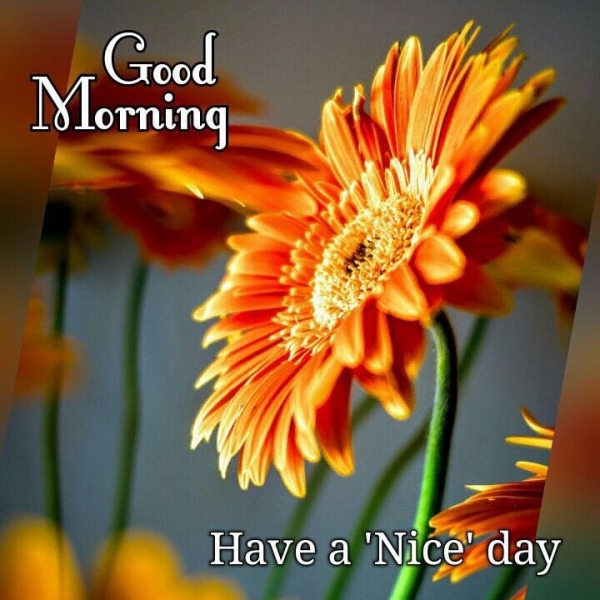 Good Morning – Have a nice day - DesiComments.com