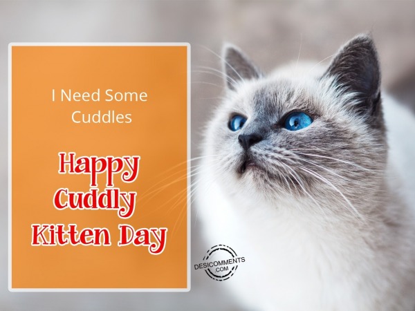 I need some cuddles, Happy Cuddly Kitten Day