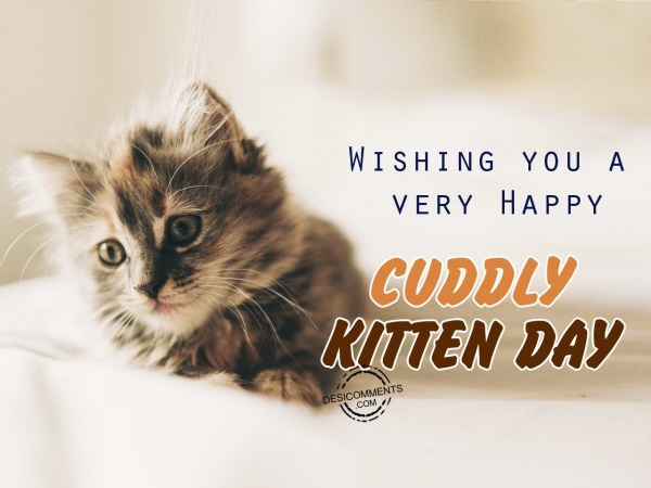 Wishing you a very happy cuddly kitten day