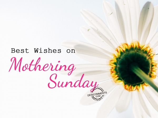 Best wishes on mothering sunday