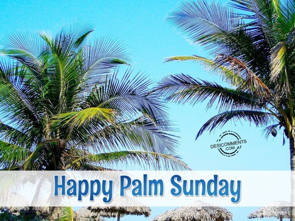 Happy Palm Sunday