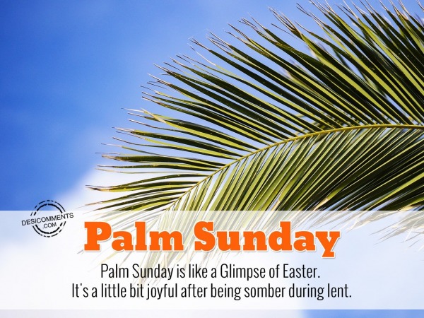 Palm Sunday Is Like A Glimpse Of Easter