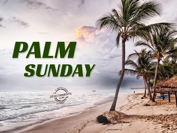 Palm Sunday Pic