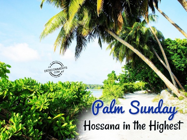 Plam Sunday Hosaana In The Highest