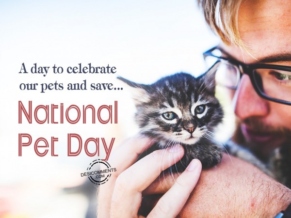 A day to celebrate our pets, National Pet Day