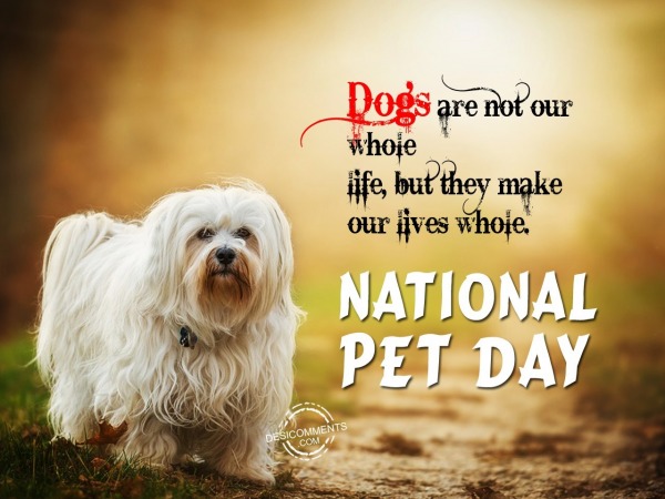 Dogs are not our whole, National Pet Day