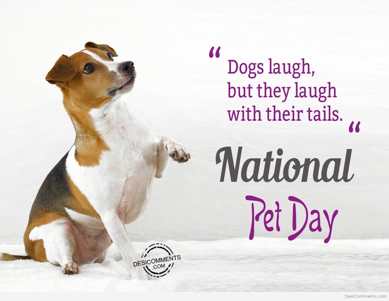 Days my pet. International Pet Day. День родителей домашних животных. World Pets Day. Pet Day pictures.