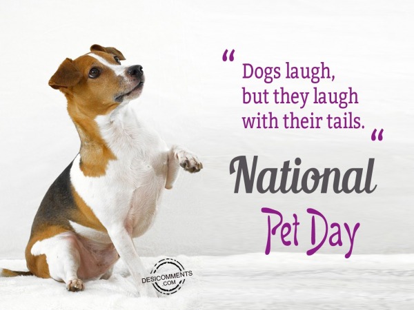 Dogs laugh with their tail, National Pet Day